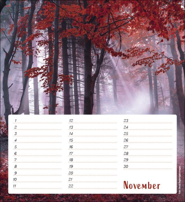 Produktbild Geburtstagskalender Augenblicke der Stille (22.5 x 24.5 cm)