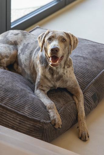 Produktbild Designed by Lotte Liegekissen Ribbed (Hund)