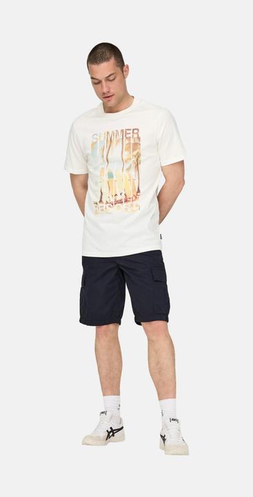 Immagine prodotto Only & Sons T-Shirt Magdy Life Kurzarmshirt (S)