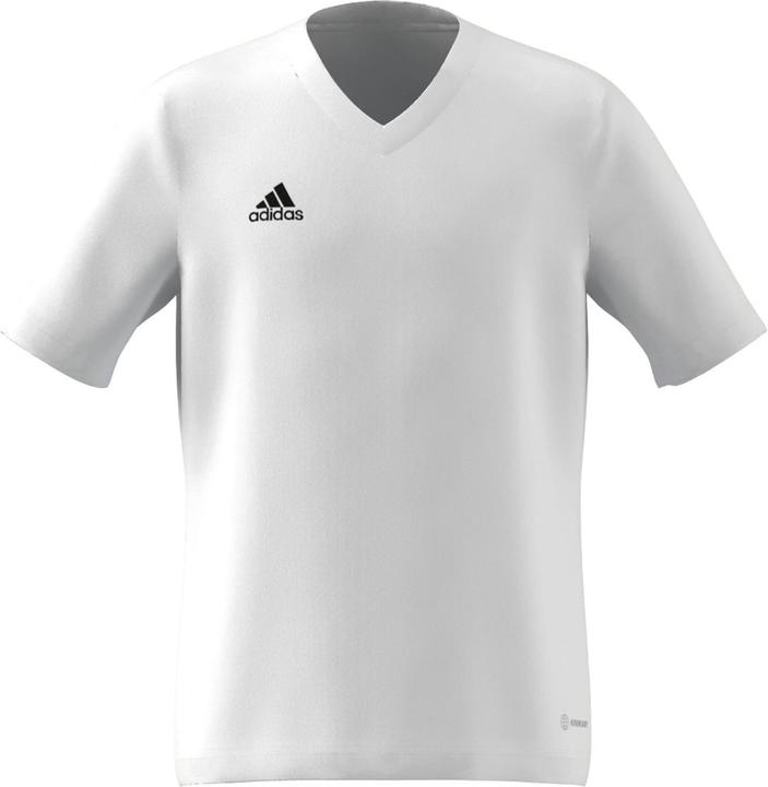 Produktbild adidas Entrada 22 Trikot (128)
