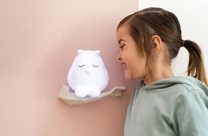 Actual product image Flow Amsterdam LED Oscar