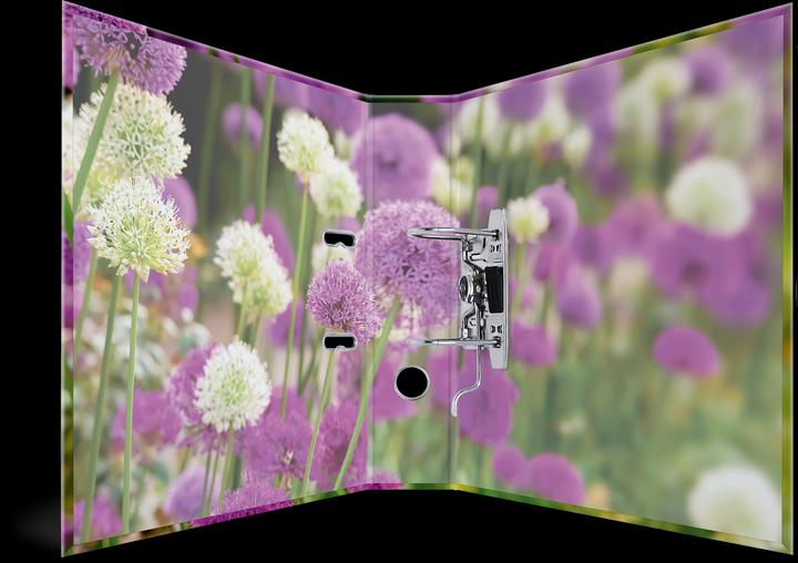 Actual product image Herma A4 folder motif (A4, 70 mm, 1 Piece)