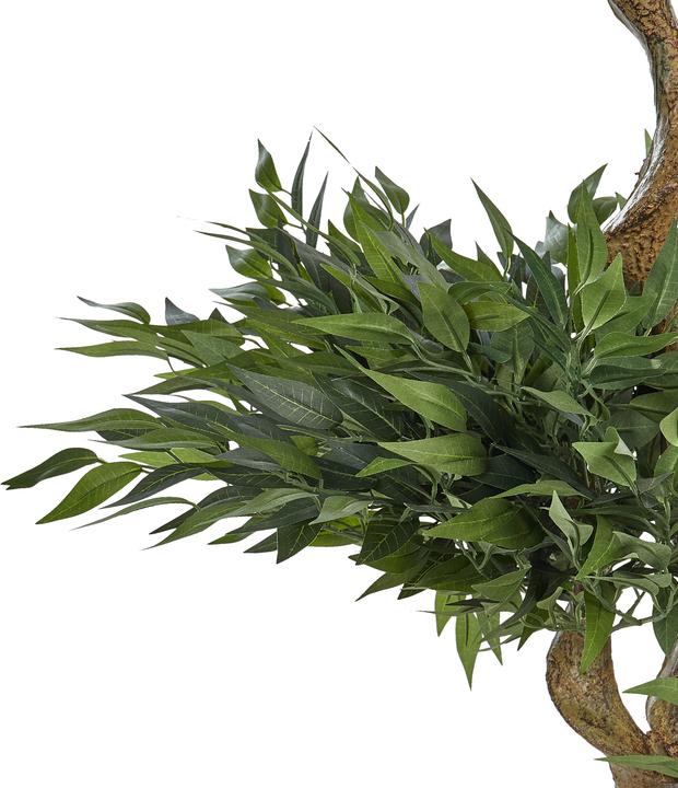 Immagine prodotto Beliani Ruscus Tree (166 cm)