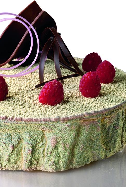 Actual product image Martellato Insert strips tree bark