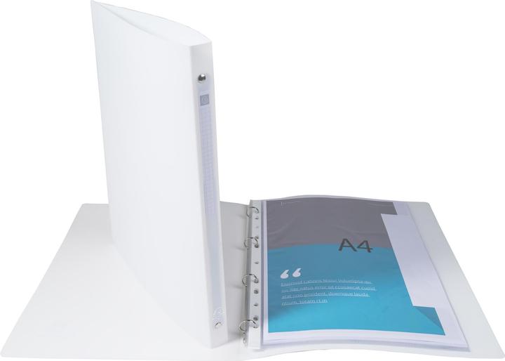 Actual product image Exacompta Ring binders (A4, 20 mm, 1 pcs.)