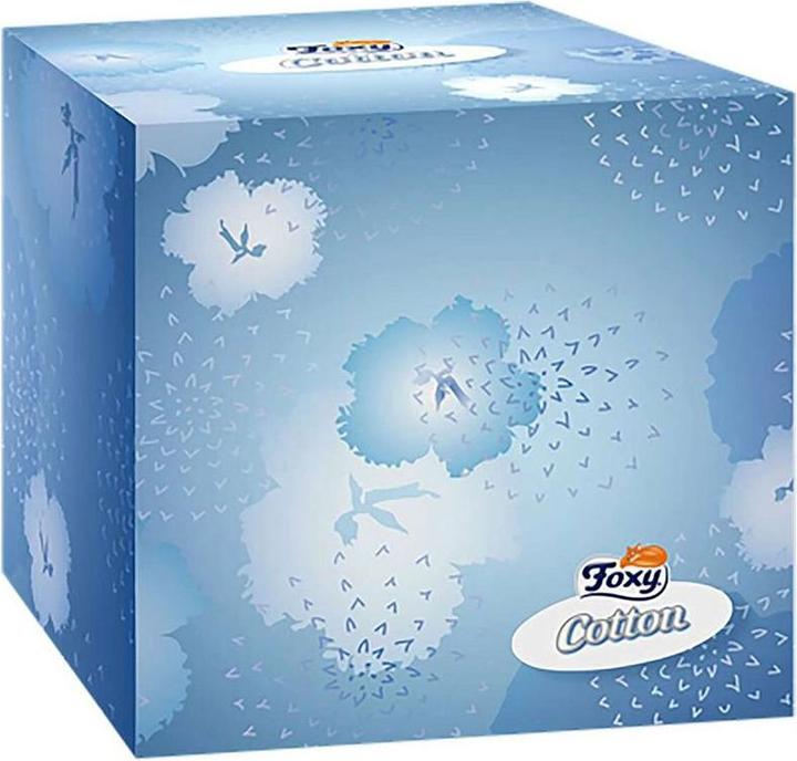 Image du produit Foxy Hygiène du coton, 60 pièces