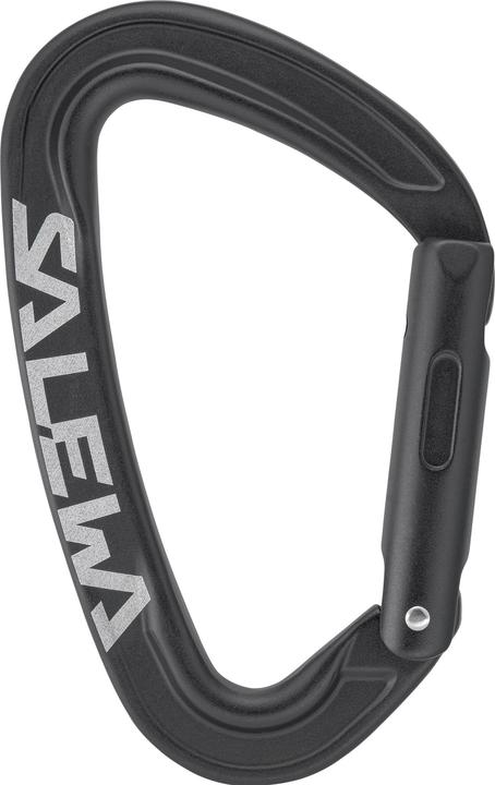 Actual product image Salewa Ortles Straight Carabiner