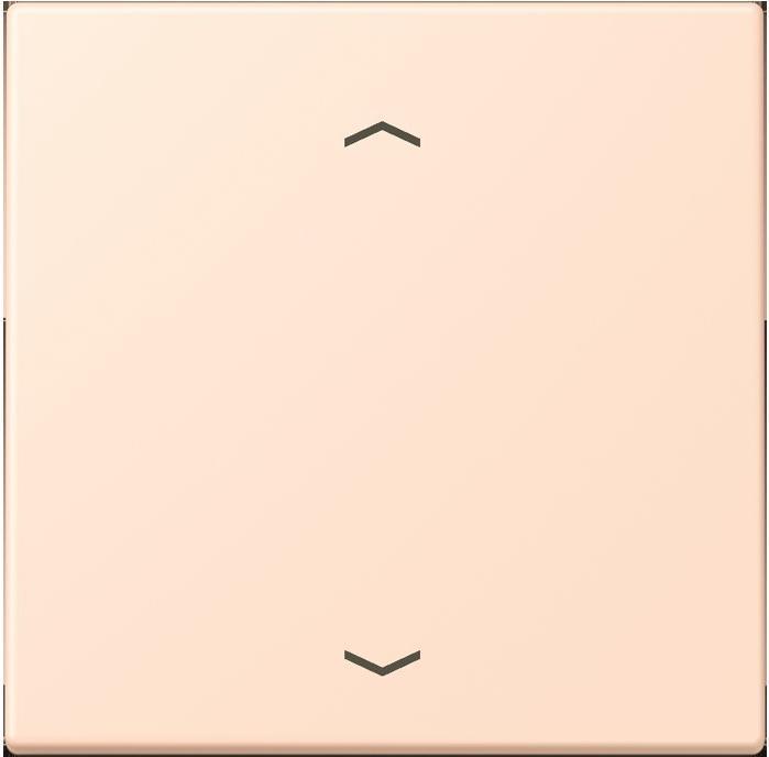 Produktbild JUNG Wippe 1fach m. Pfeilsymb.