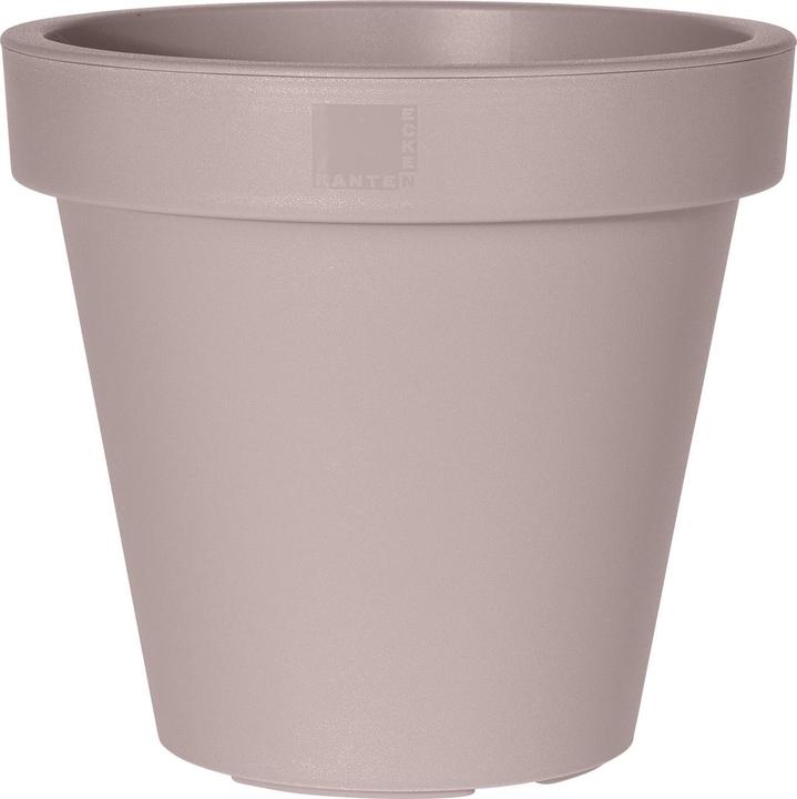 Braun-Grau