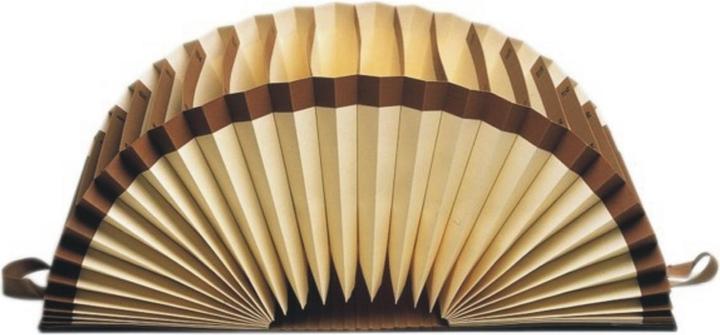 Leitz Schriftenordner (A4, 1 x)