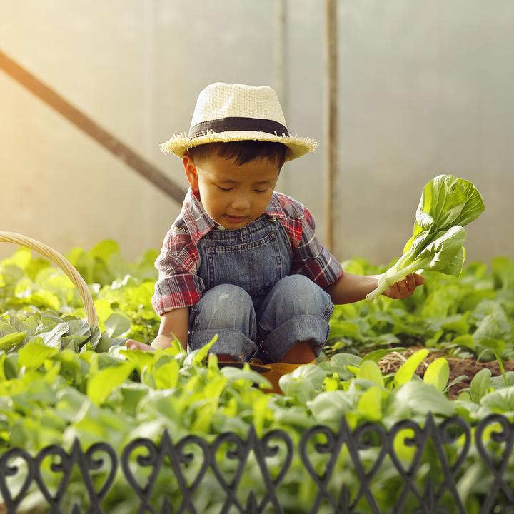 Image du produit Relaxdays 2x clôture de parterre (1 cm)