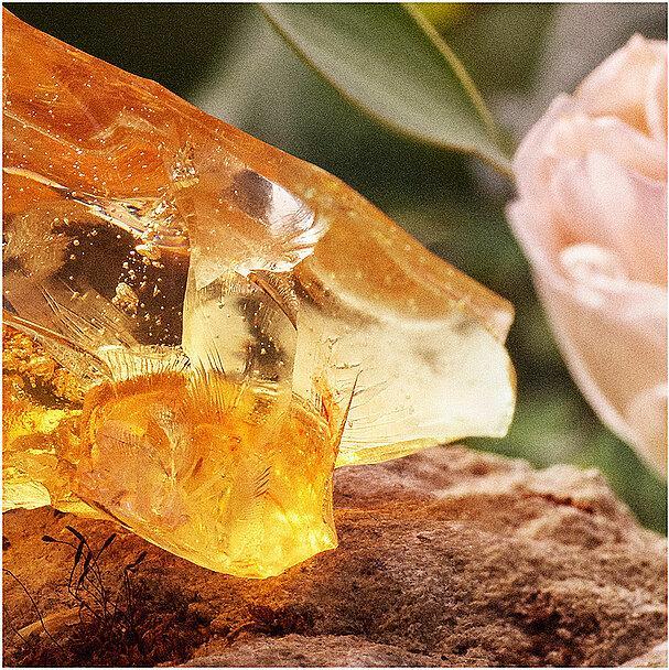 Produktbild Chloé Chloé (Eau de Parfum, 100 ml)