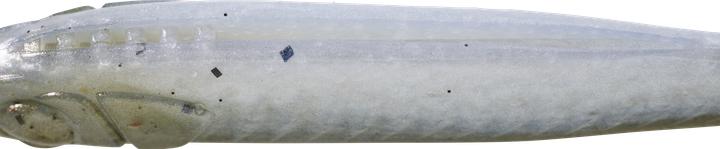 Produktbild Caperlan 332780 (10 cm)