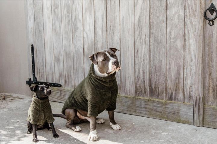 Produktbild Kentucky Dogwear Hundepullover Teddy Fleece (S, Hundepullover)