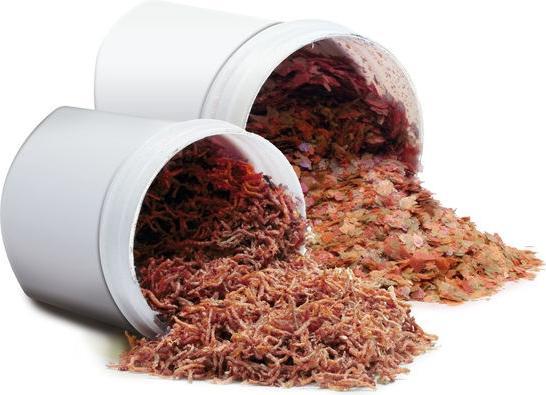Produktbild Juwel Aquarium Easy Feed (Futterautomat Digital)
