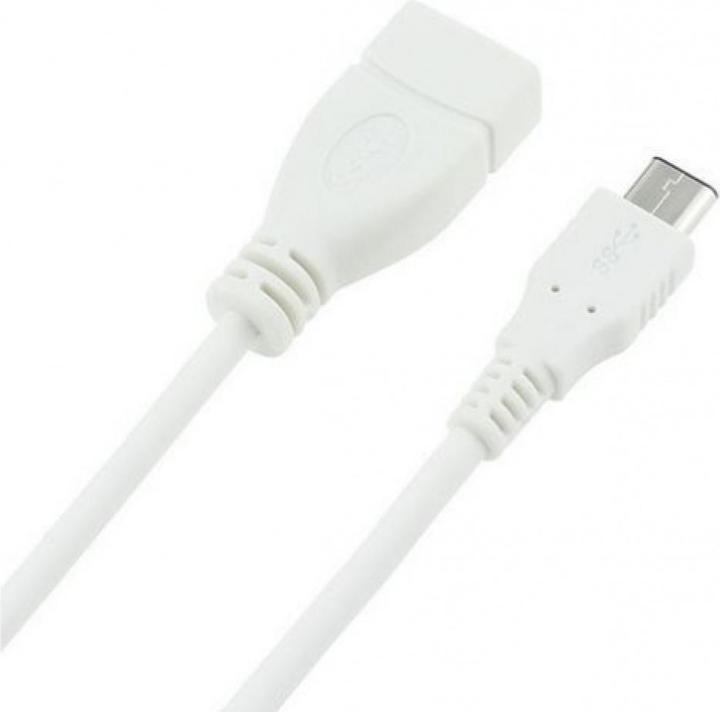 Produktbild PowerGuard Kurzes USB-C auf USB Adapter Kabel 20cm (0.20 m, USB 3.0)