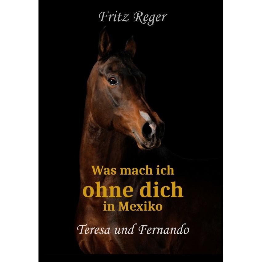 Was mach ich ohne Dich in Mexiko, Belletristik von Fritz Reger