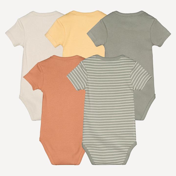 Actual product image La Redoute Collections 5er-Pack Kurzarm-Bodys (56)