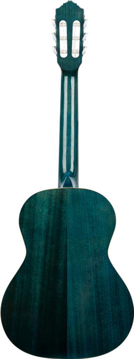 Actual product image Ortega Family Series (Acoustic guitar, Spruce)