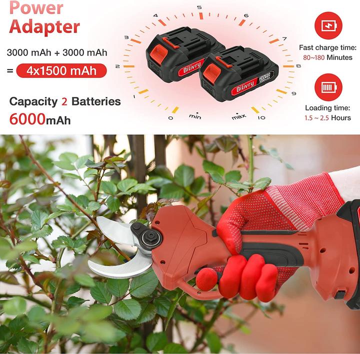 Image du produit Bilivry Akku Astschere