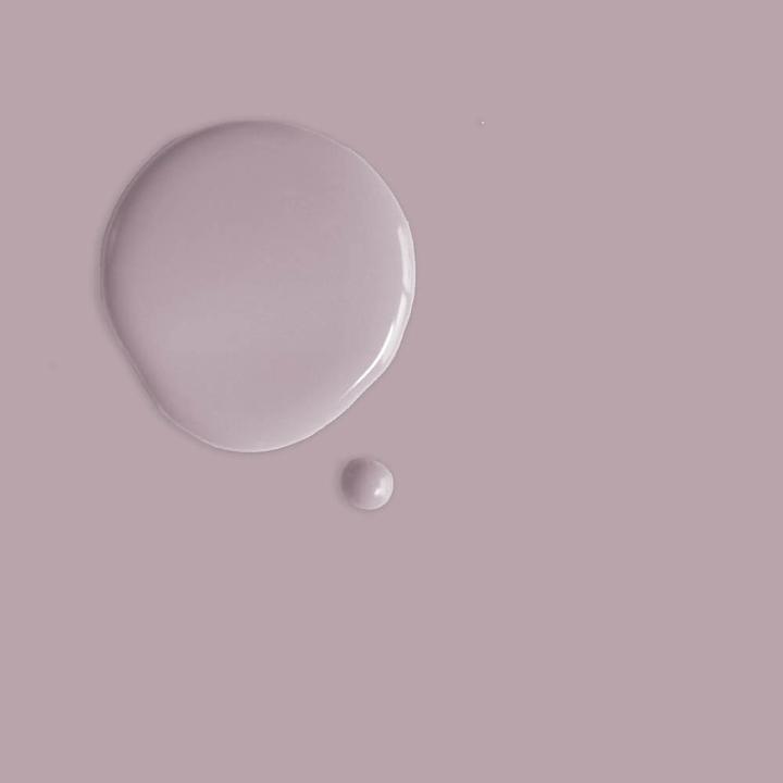 Image du produit Annie Sloan Peinture à la craie Emile Liter (1000 ml)