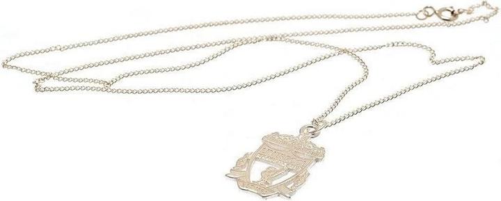 Immagine prodotto Score Draw Verniciato d'Argento Collana e Ciondolo (100% materiale sintetico)