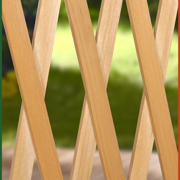Immagine prodotto Deuba Supporto per piante rampicanti (25 cm, 100 cm)