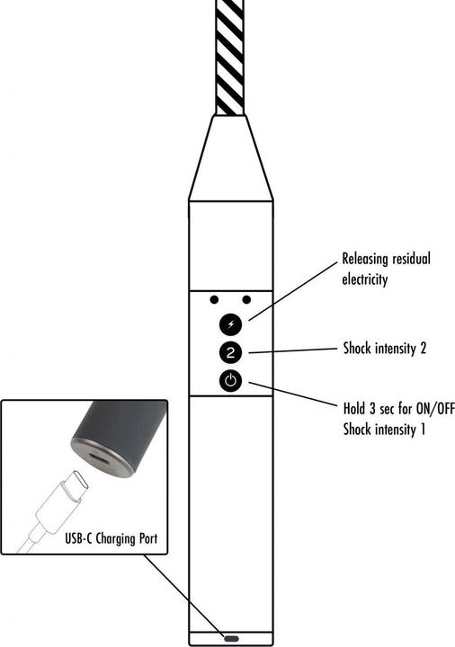 Produktbild Hidden Desire Extreme Electro Riding Crop