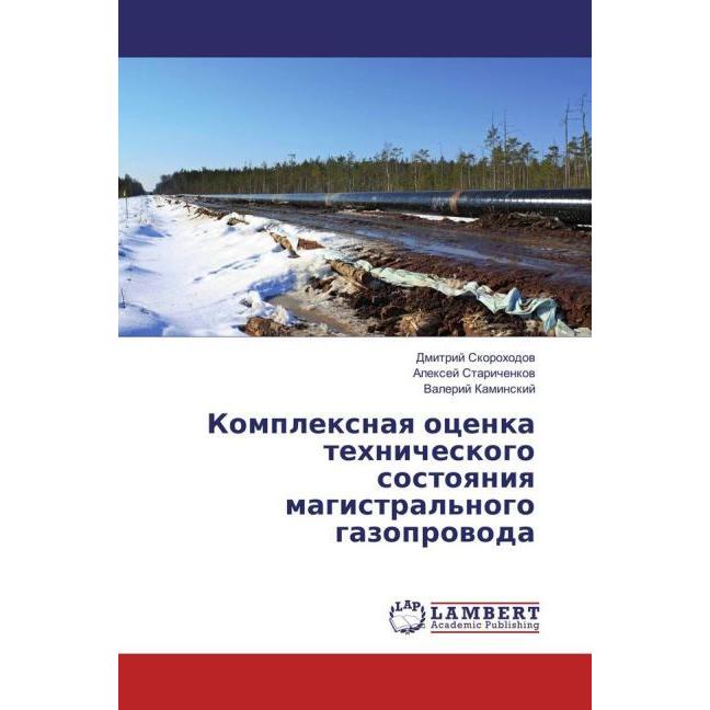 Komplexnaya ocenka tehnicheskogo sostoyaniya magistral'nogo gazoprovoda, Ratgeber von Valerij Kaminskij, Dmitrij Skoroho...