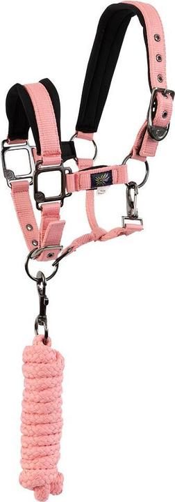 Produktbild BR Equestrian Equipment Mini Halfter für Pferde mit Longe