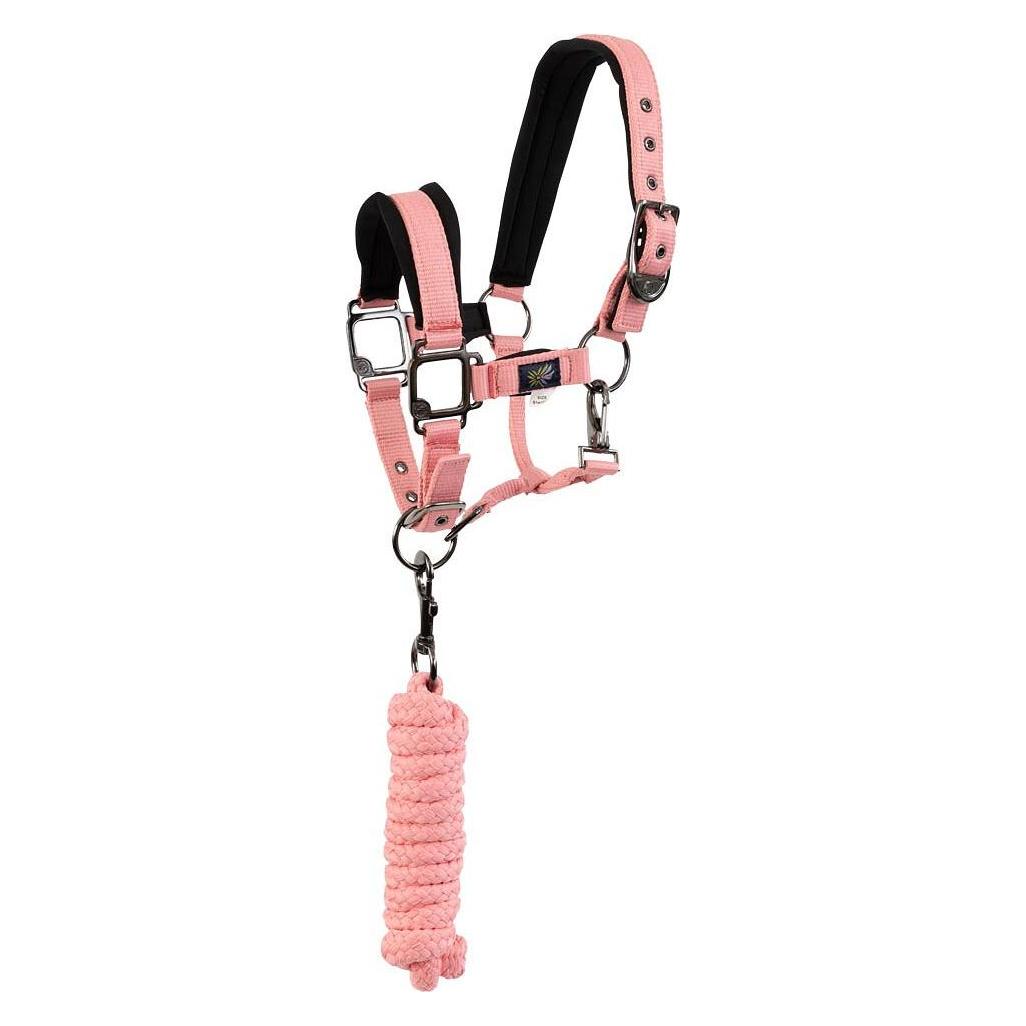 Br Equestrian Equipment, Halfter