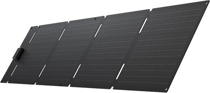 EcoFlow Solarpanel (60 W, 2 kg)