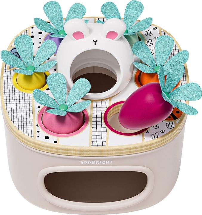 Produktbild Topbright Toys Sortierspiel Karotten