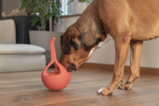 Actual product image Beeztees Rubber dog toy Wiggle-X (Dog chew toy)