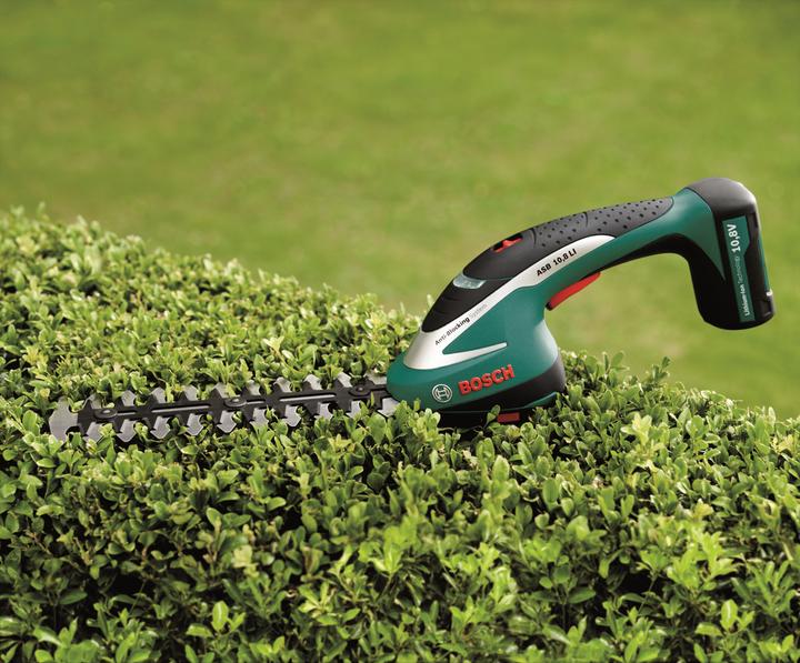 Actual product image Bosch Home & Garden ASB 10.8 Li (Rechargeable battery operated)