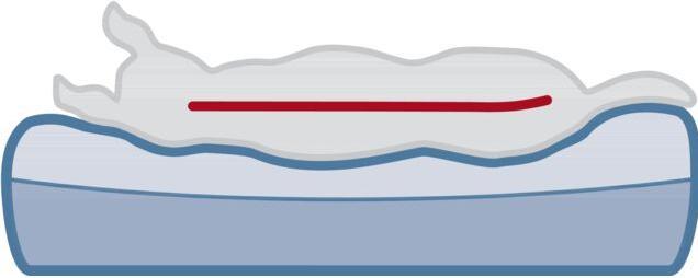 Image du produit Trixie Lit Samoa Vital (Chien)