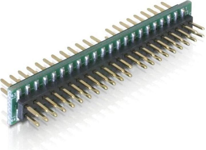 Image du produit Delock Adaptateur IDE 44 Pin vers IDE 44 Pin