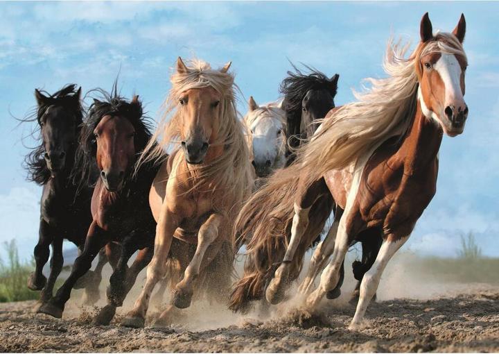 Actual product image Trefl Puzzle The Galloping Horses 1000 pieces (1000 pieces)