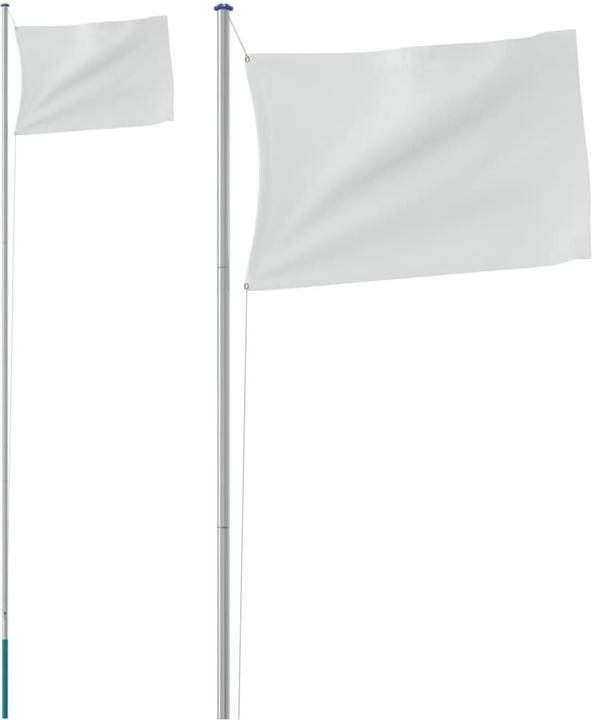 VidaXL Asta per bandiera divisibile argento 6,23 m in alluminio, colore