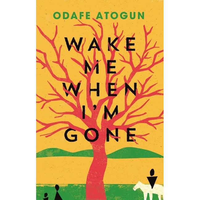 Thumbnail - Wake Me When I'm Gone, Belletristik von Odafe Atogun
