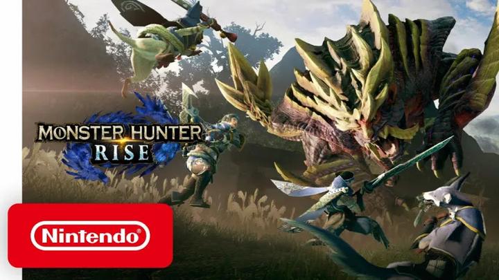 Actual product image Nintendo Monster Hunter Rise (Switch, Multilingual)