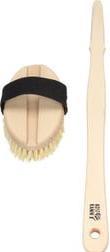 Actual product image Kost Kamm Bath brush handle beech sisal