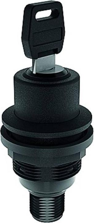 Schlegel SSWSSA28I C007 Key switch 1pc.