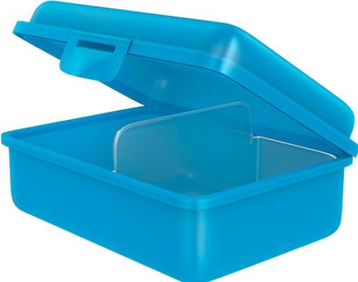 Actual product image Fizzii Lunch box with divider cyan, dolphin