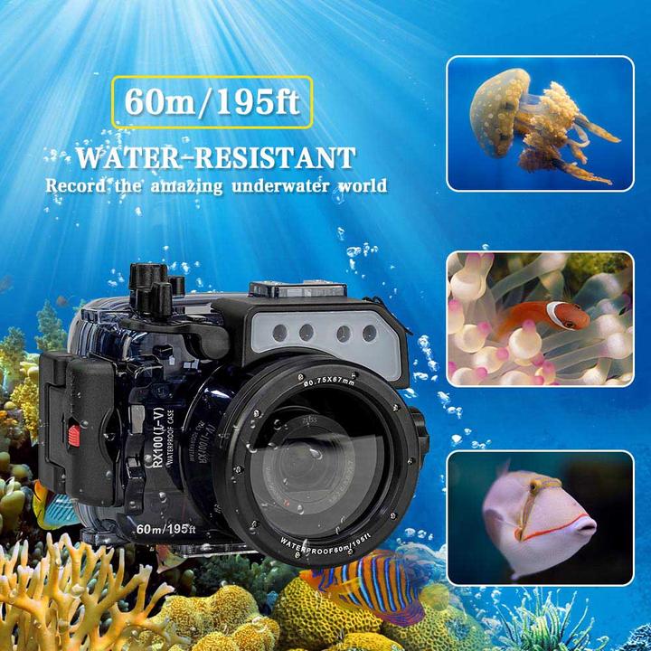 Image du produit Seafrogs SS-1 (Boîtier sous-marin, DSC RX100)