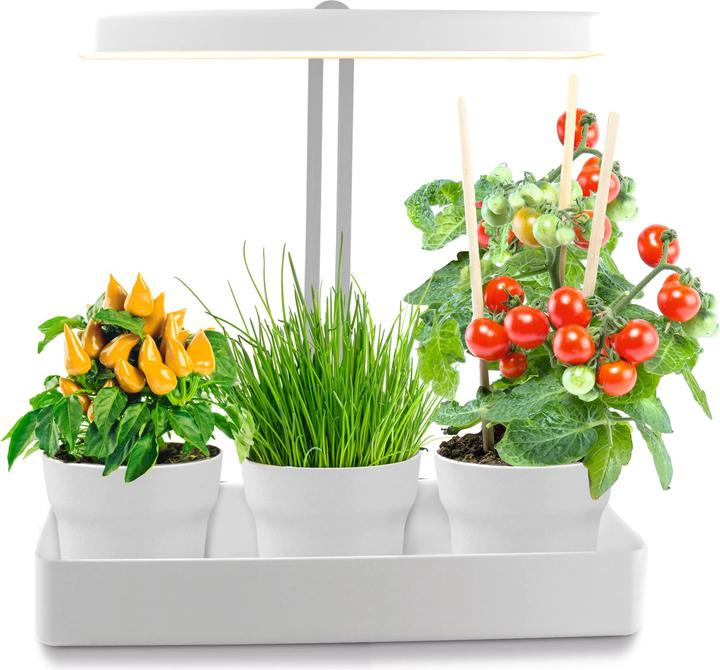 Image du produit Northpoint Système de culture hydroponique à LED (LED, 220 V)