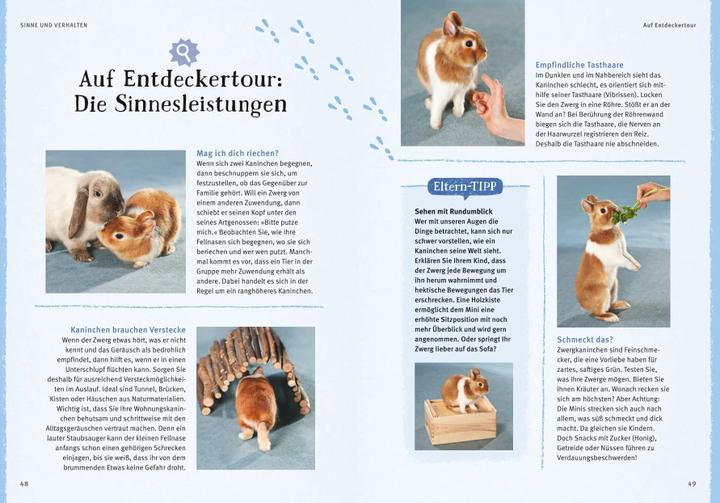 Produktbild Liebenswerte Zwergkaninchen (Deutsch, Monika Wegler, 2015)