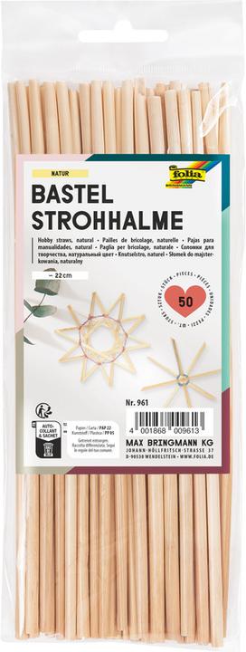 Productafbeelding Folia Rietjes (1 x)