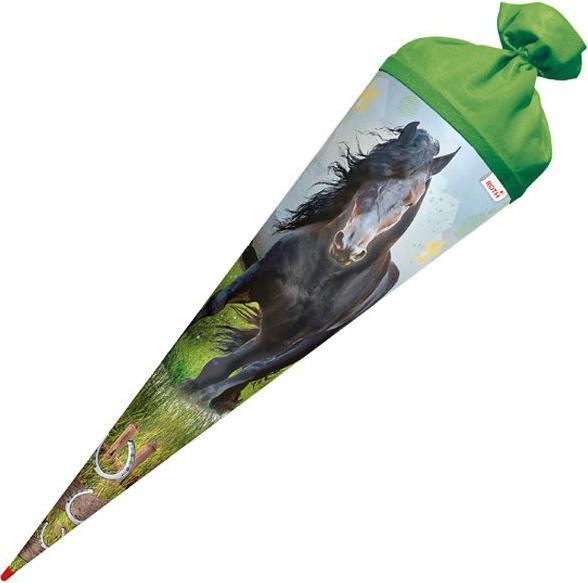 Roth School cone 70cm Power Horse (70 cm, 1 x)