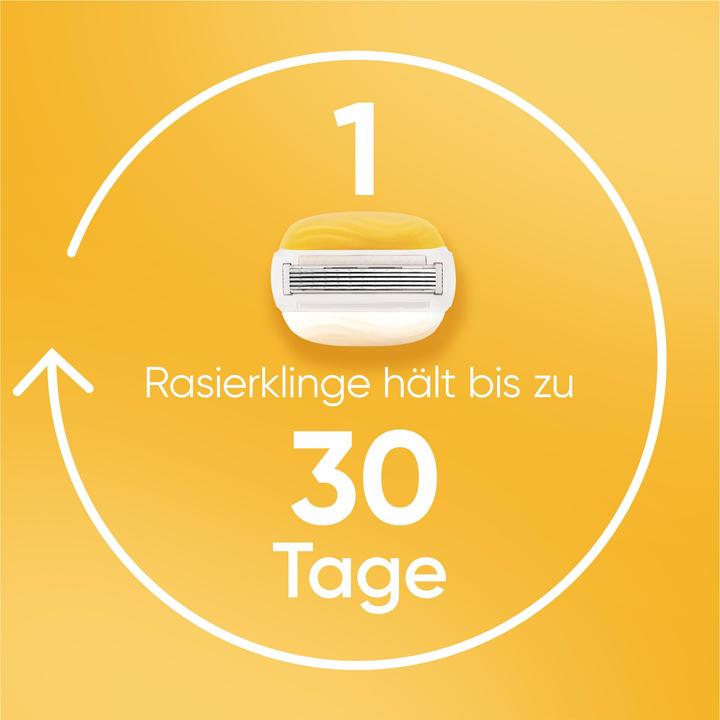 Actual product image Gillette Venus Comfortglide Coconut Systemklingen 6er + Handstück - Onlineversand Variante (6 x)
